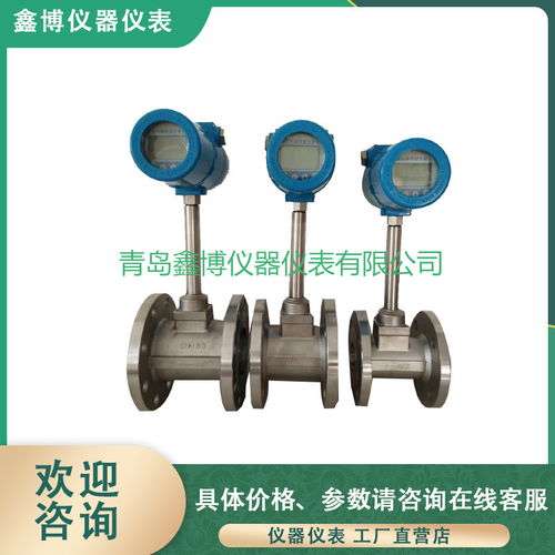 山東熱式氣體質量流量計 精準高效的氣體儀表解決方案